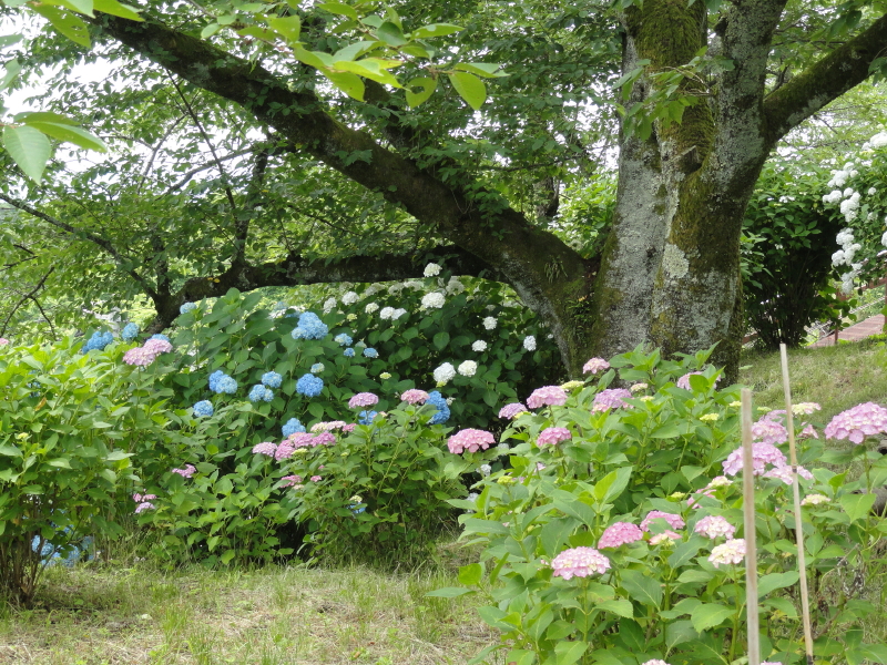 img0153.jpg