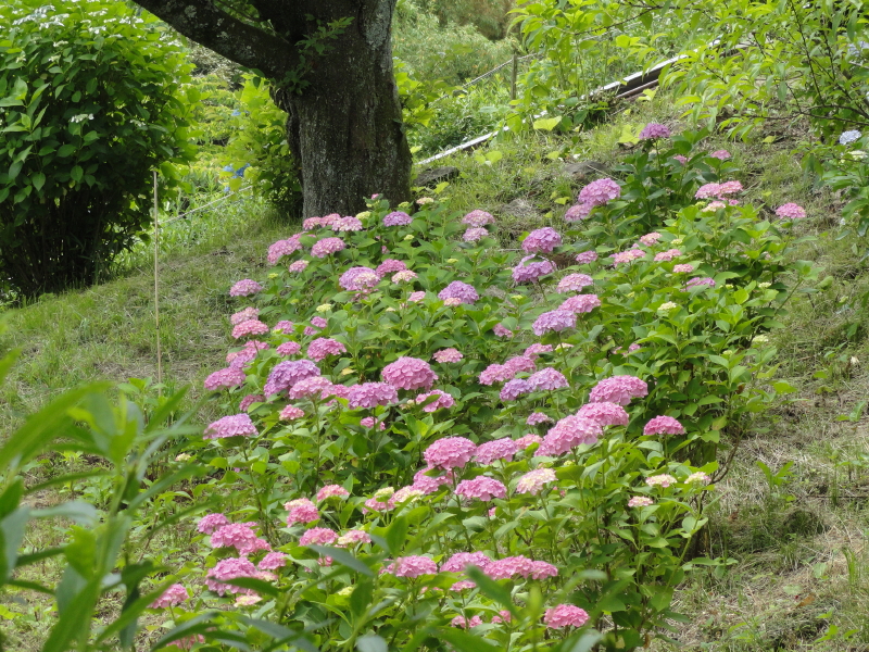 img0154.jpg