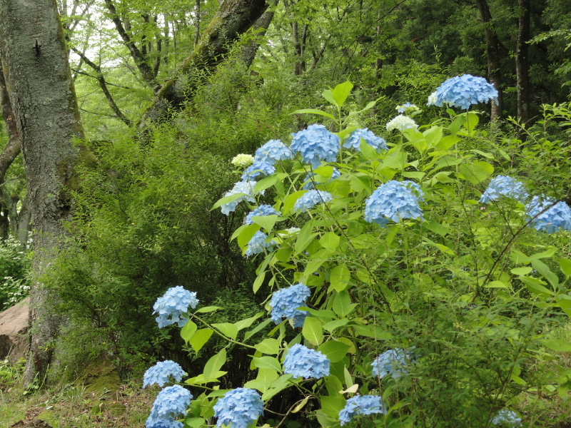 img0157.jpg