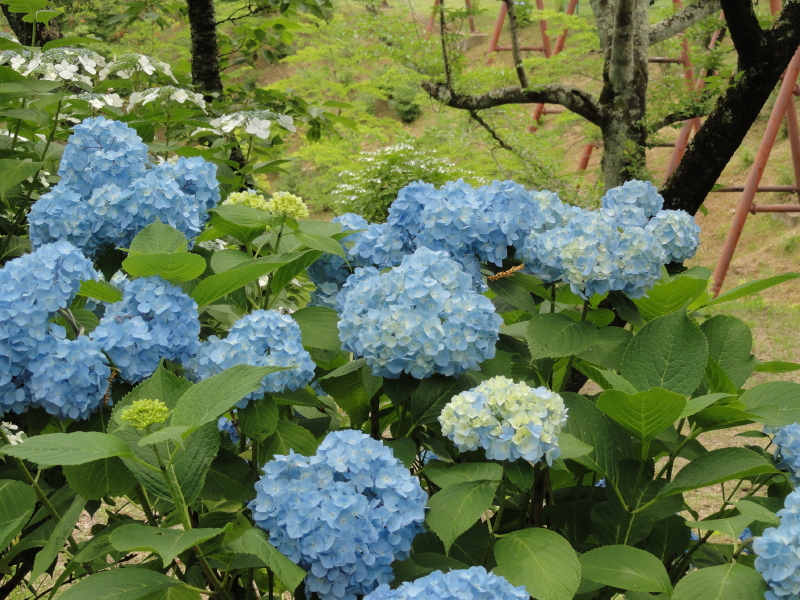 img0158.jpg