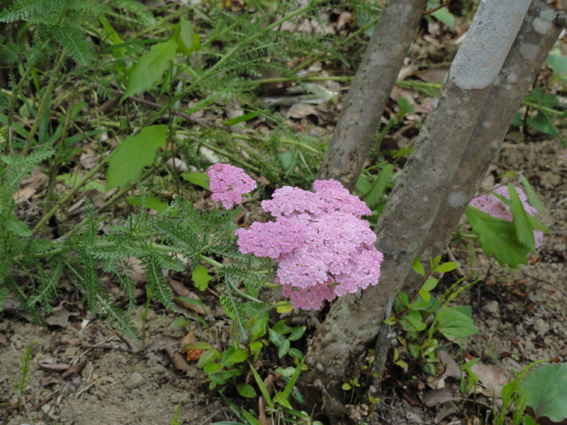 img0159.jpg