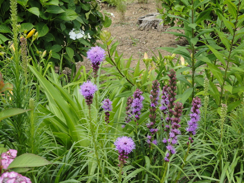 img0167.jpg