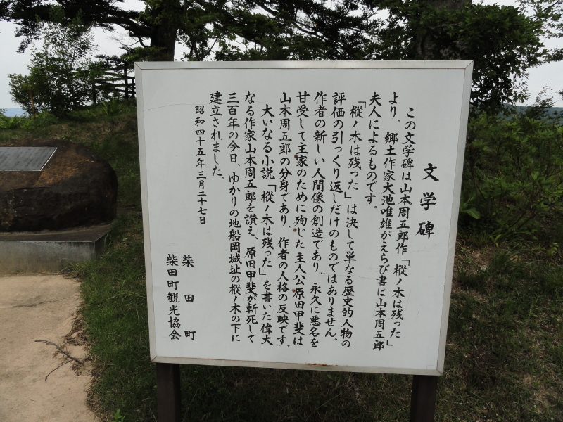 img0173.jpg