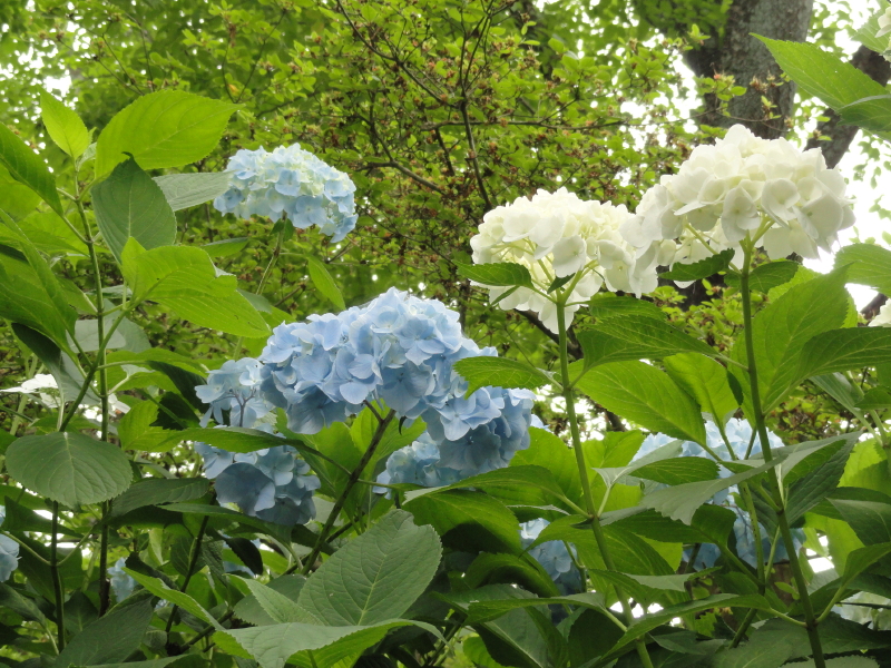 img0183.jpg