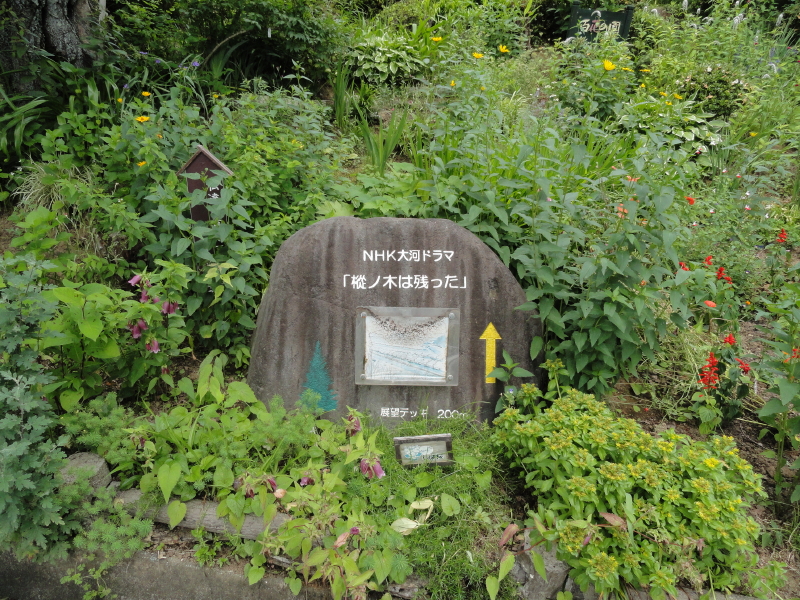 img0187.jpg