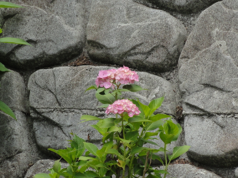 img0190.jpg