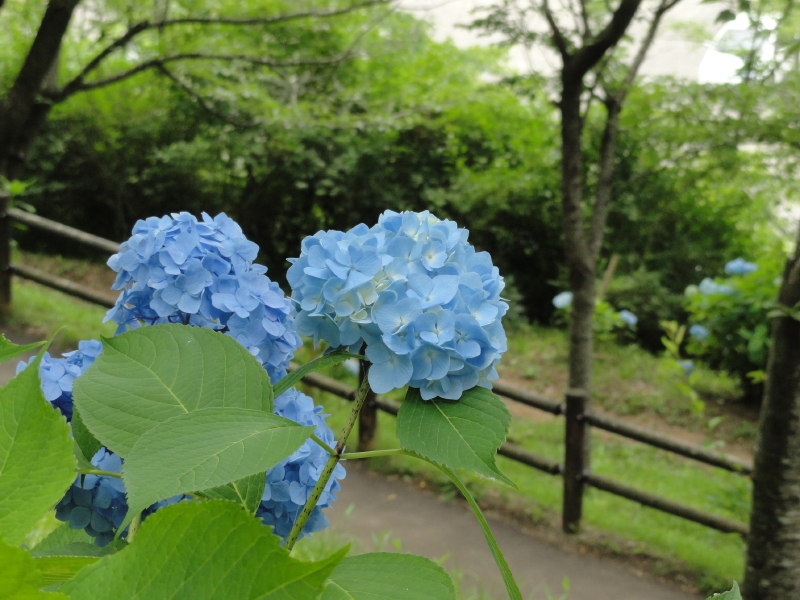 img0191.jpg