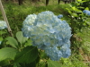 img0006.jpg