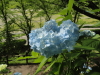 img0007.jpg