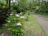 img0015.jpg