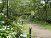 img0017.jpg