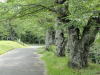 img0023.jpg