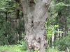 img0025.jpg