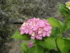 img0032.jpg