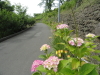 img0033.jpg