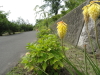 img0035.jpg