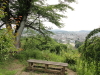 img0038.jpg