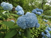 img0044.jpg