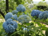 img0045.jpg