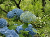 img0046.jpg