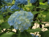 img0049.jpg