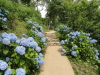 img0051.jpg
