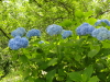img0053.jpg