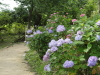 img0054.jpg