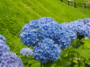img0056.jpg
