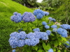 img0057.jpg