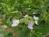 img0061.jpg