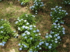 img0064.jpg
