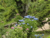 img0066.jpg