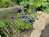img0078.jpg