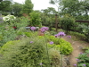 img0097.jpg