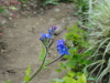 img0103.jpg