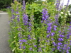 img0104.jpg