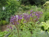 img0106.jpg