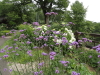 img0111.jpg
