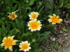 img0113.jpg