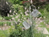 img0114.jpg