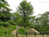 img0119.jpg