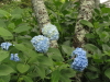 img0126.jpg
