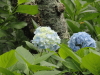 img0128.jpg
