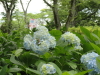 img0129.jpg