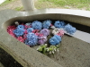 img0145.jpg