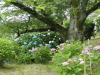 img0153.jpg