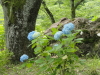 img0155.jpg