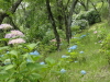 img0156.jpg