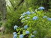 img0157.jpg